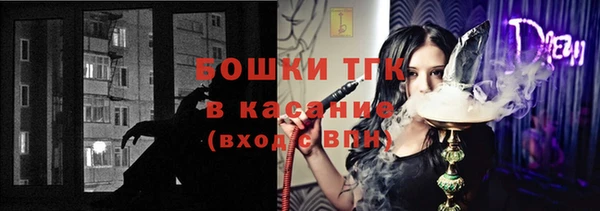 гашик Инта