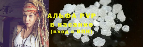 гашик Инта