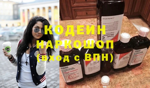 гашик Инта