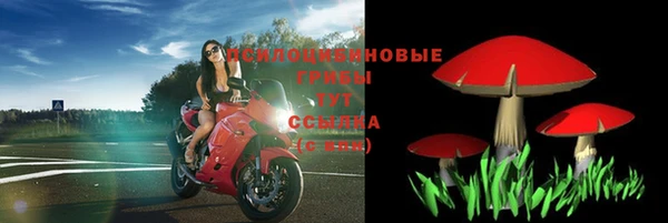 а пвп мука Иннополис