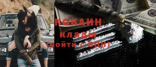 гашик Инта