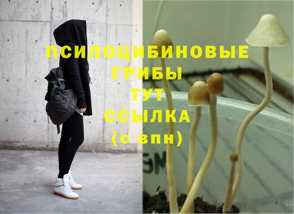 герыч Инсар