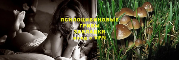 гашик Инта